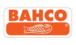 bacho